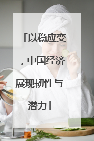 以稳应变，中国经济展现韧性与潜力